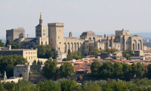 The Papel Palace (Palais des Papes) dominates the Avignon skyline.