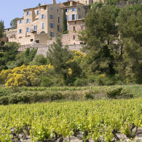 Crillon-le-Brave, Provence